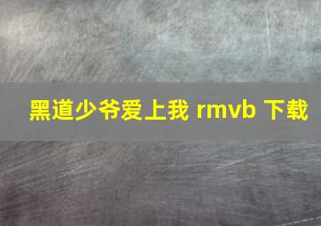 黑道少爷爱上我 rmvb 下载